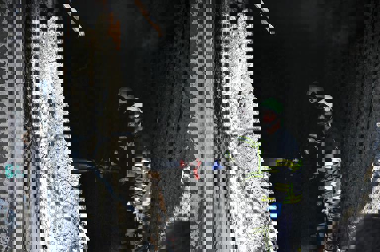 Firefighters Rescue Six Kittens From Vacant Building, Prompting Search for Adopters